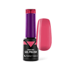 PERFECT NAILS HEMA FREE gelinis lakas HF017 RASPBERRY, 4 ml. - Beauty Kit