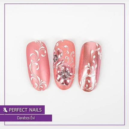 PERFECT NAILS nagų dekoravimo chromo pudra - ROSE GOLD - Beauty Kit